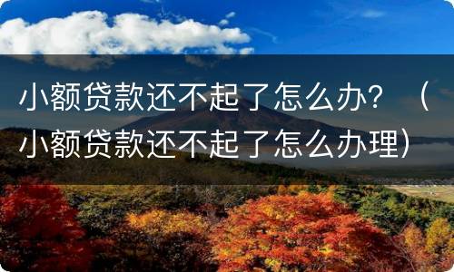 小额贷款还不起了怎么办？（小额贷款还不起了怎么办理）