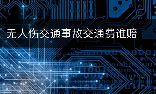 无人伤交通事故交通费谁赔