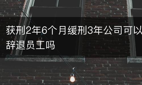 获刑2年6个月缓刑3年公司可以辞退员工吗