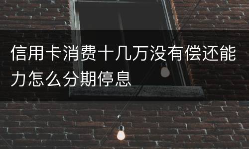 信用卡消费十几万没有偿还能力怎么分期停息