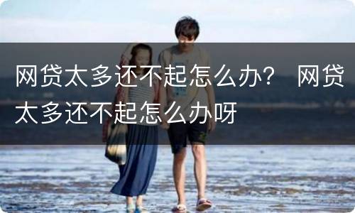 网贷太多还不起怎么办？ 网贷太多还不起怎么办呀