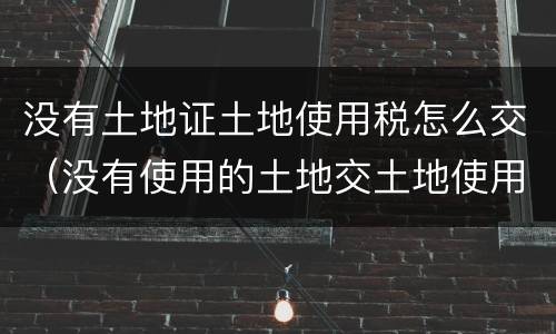 没有土地证土地使用税怎么交（没有使用的土地交土地使用税吗）