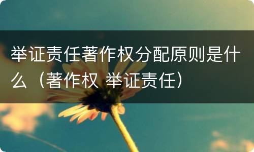 举证责任著作权分配原则是什么（著作权 举证责任）