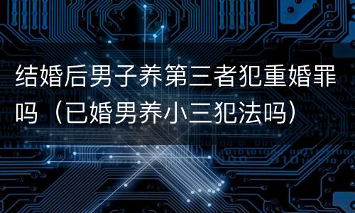 结婚后男子养第三者犯重婚罪吗（已婚男养小三犯法吗）