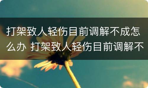 打架致人轻伤目前调解不成怎么办 打架致人轻伤目前调解不成怎么办呢