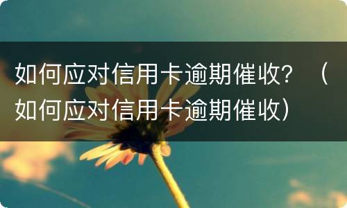 如何应对信用卡逾期催收？（如何应对信用卡逾期催收）
