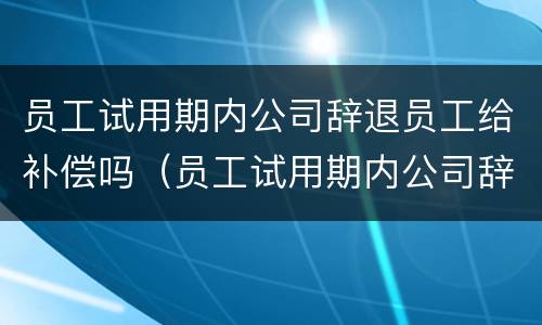 员工试用期内公司辞退员工给补偿吗（员工试用期内公司辞退员工给补偿吗）