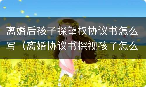 离婚后孩子探望权协议书怎么写（离婚协议书探视孩子怎么写）
