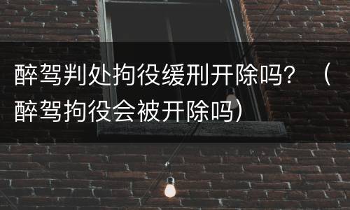醉驾判处拘役缓刑开除吗？（醉驾拘役会被开除吗）