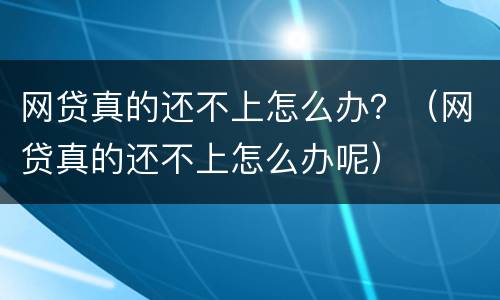 网贷真的还不上怎么办？（网贷真的还不上怎么办呢）