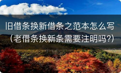旧借条换新借条之范本怎么写（老借条换新条需要注明吗?）
