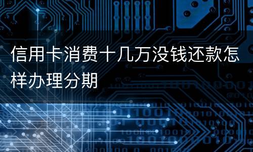 信用卡消费十几万没钱还款怎样办理分期