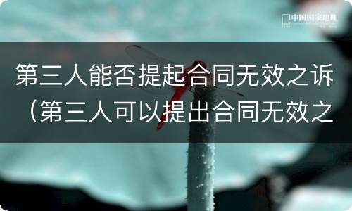 第三人能否提起合同无效之诉（第三人可以提出合同无效之诉吗）