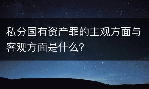 私分国有资产罪的主观方面与客观方面是什么？