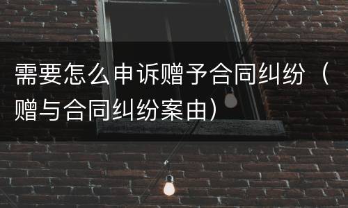 需要怎么申诉赠予合同纠纷（赠与合同纠纷案由）