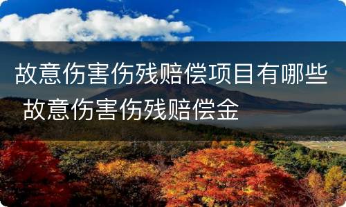 故意伤害伤残赔偿项目有哪些 故意伤害伤残赔偿金