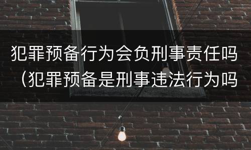 犯罪预备行为会负刑事责任吗（犯罪预备是刑事违法行为吗）