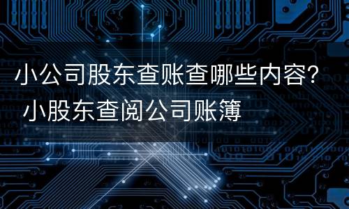 小公司股东查账查哪些内容？ 小股东查阅公司账簿