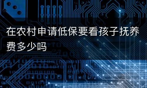 在农村申请低保要看孩子抚养费多少吗