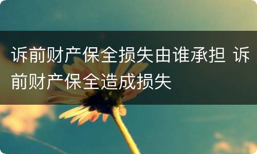 诉前财产保全损失由谁承担 诉前财产保全造成损失
