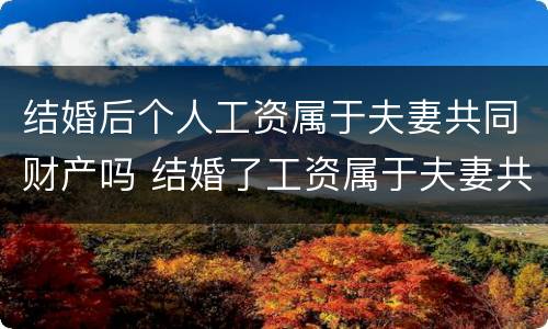 结婚后个人工资属于夫妻共同财产吗 结婚了工资属于夫妻共同财产吗