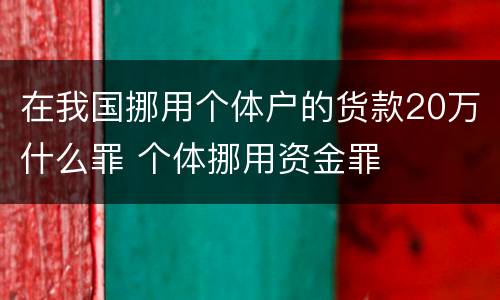 在我国挪用个体户的货款20万什么罪 个体挪用资金罪