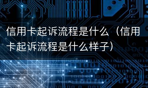 信用卡起诉流程是什么（信用卡起诉流程是什么样子）