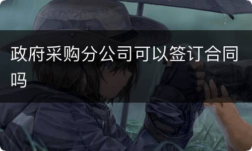 政府采购分公司可以签订合同吗