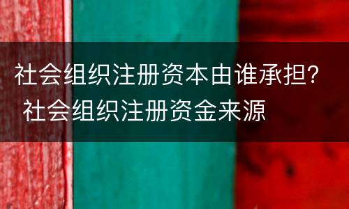 社会组织注册资本由谁承担？ 社会组织注册资金来源