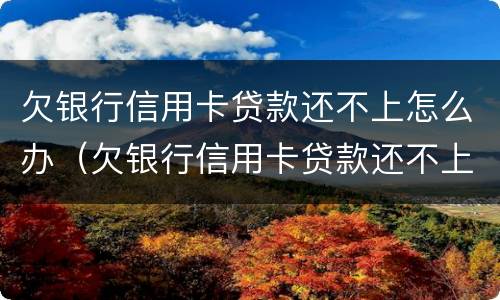 欠银行信用卡贷款还不上怎么办（欠银行信用卡贷款还不上怎么办呢）