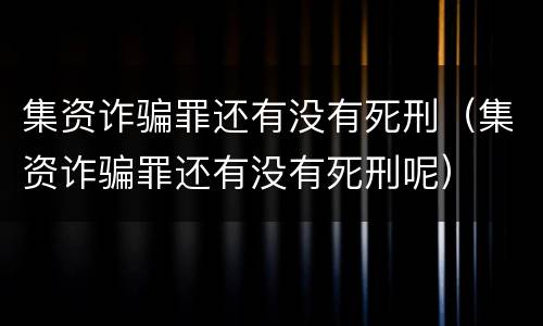 集资诈骗罪还有没有死刑（集资诈骗罪还有没有死刑呢）