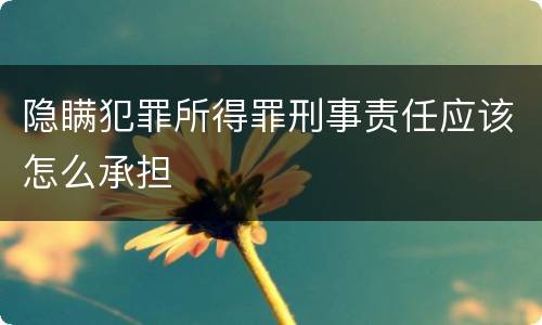 隐瞒犯罪所得罪刑事责任应该怎么承担