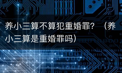 养小三算不算犯重婚罪？（养小三算是重婚罪吗）