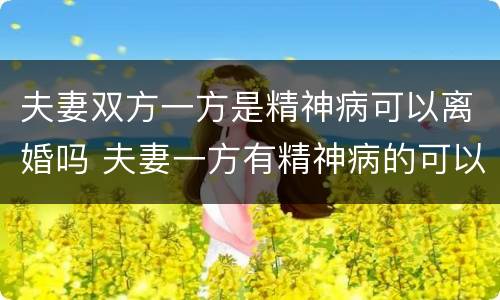 夫妻双方一方是精神病可以离婚吗 夫妻一方有精神病的可以离婚吗