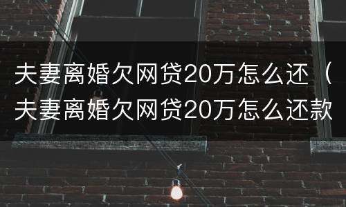 夫妻离婚欠网贷20万怎么还（夫妻离婚欠网贷20万怎么还款）
