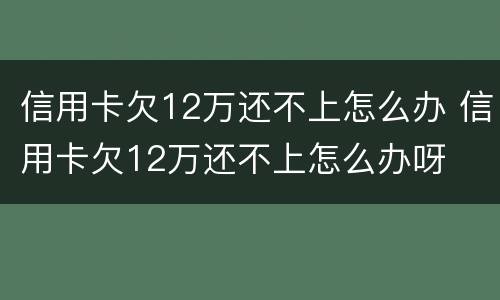 信用卡欠12万还不上怎么办 信用卡欠12万还不上怎么办呀