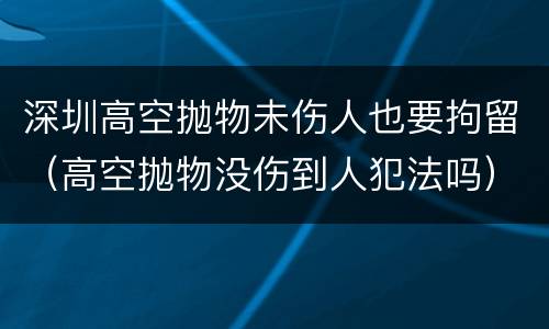 深圳高空抛物未伤人也要拘留（高空抛物没伤到人犯法吗）