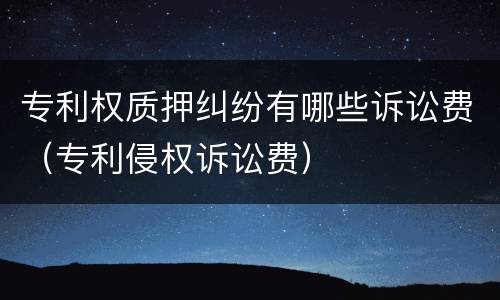 专利权质押纠纷有哪些诉讼费（专利侵权诉讼费）