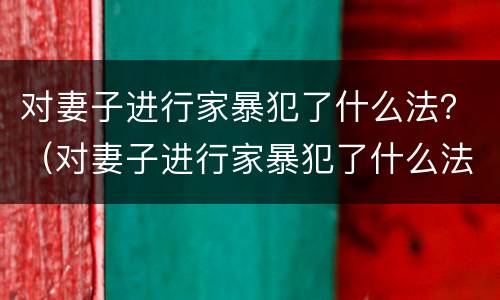 对妻子进行家暴犯了什么法？（对妻子进行家暴犯了什么法律）