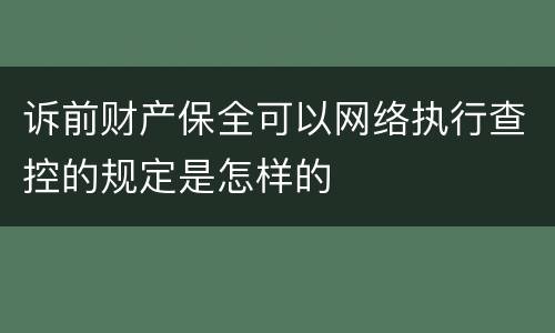 诉前财产保全可以网络执行查控的规定是怎样的