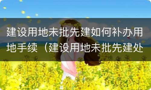 建设用地未批先建如何补办用地手续（建设用地未批先建处罚标准2019）