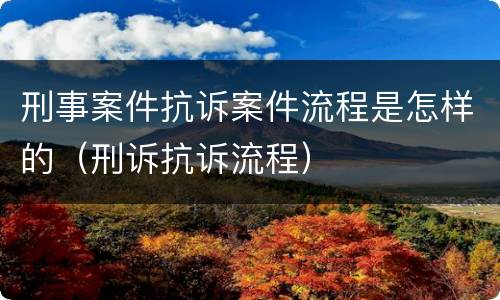 刑事案件抗诉案件流程是怎样的（刑诉抗诉流程）