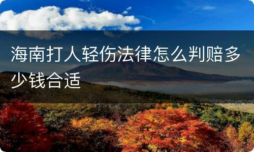 海南打人轻伤法律怎么判赔多少钱合适