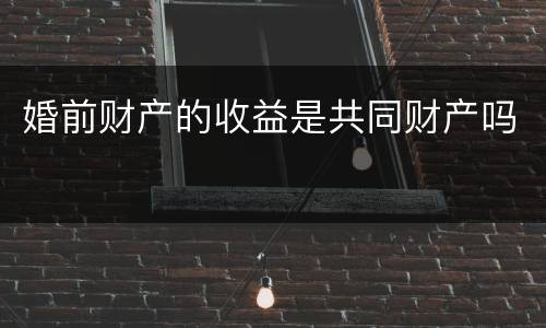 婚前财产的收益是共同财产吗
