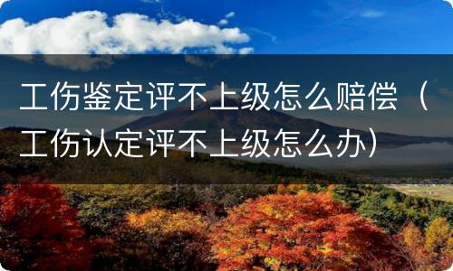 工伤鉴定评不上级怎么赔偿（工伤认定评不上级怎么办）