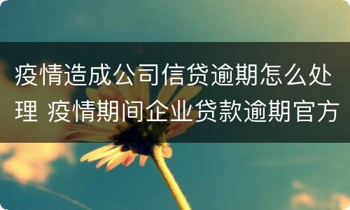 疫情造成公司信贷逾期怎么处理 疫情期间企业贷款逾期官方回应