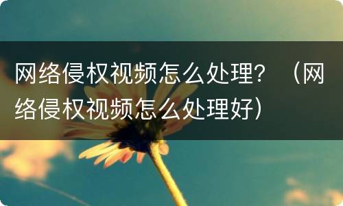 网络侵权视频怎么处理？（网络侵权视频怎么处理好）