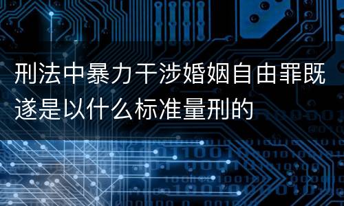 刑法中暴力干涉婚姻自由罪既遂是以什么标准量刑的