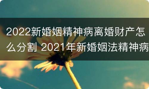 2022新婚姻精神病离婚财产怎么分割 2021年新婚姻法精神病人离婚