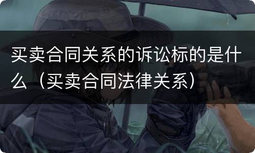 买卖合同关系的诉讼标的是什么（买卖合同法律关系）
